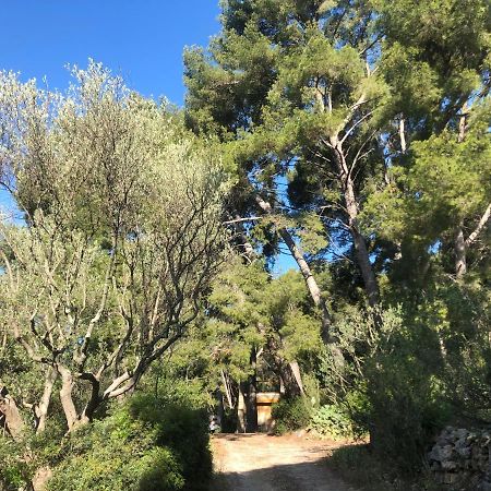 Les Pins Apartamento Le Castellet  Exterior foto