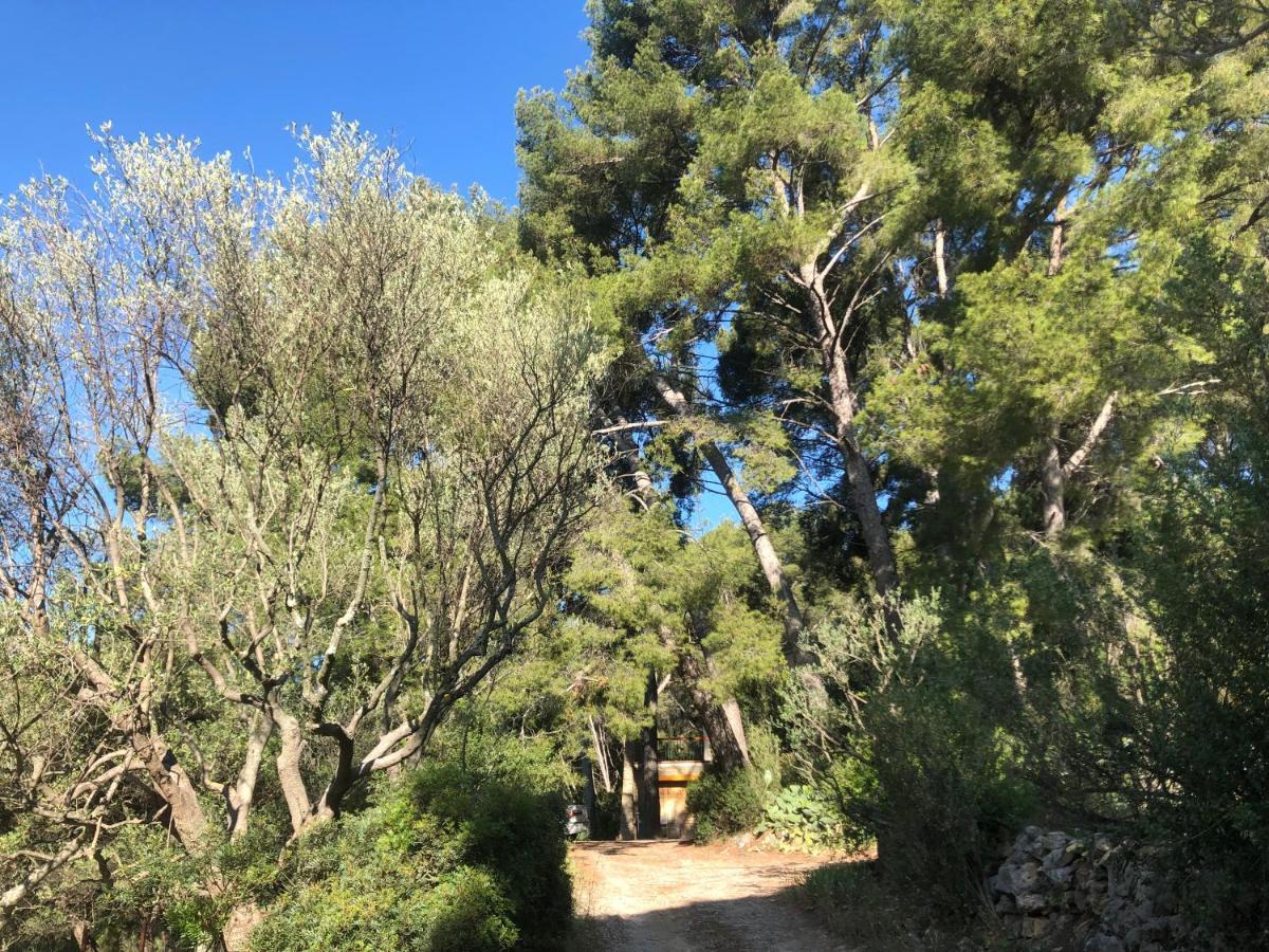 Les Pins Apartamento Le Castellet  Exterior foto