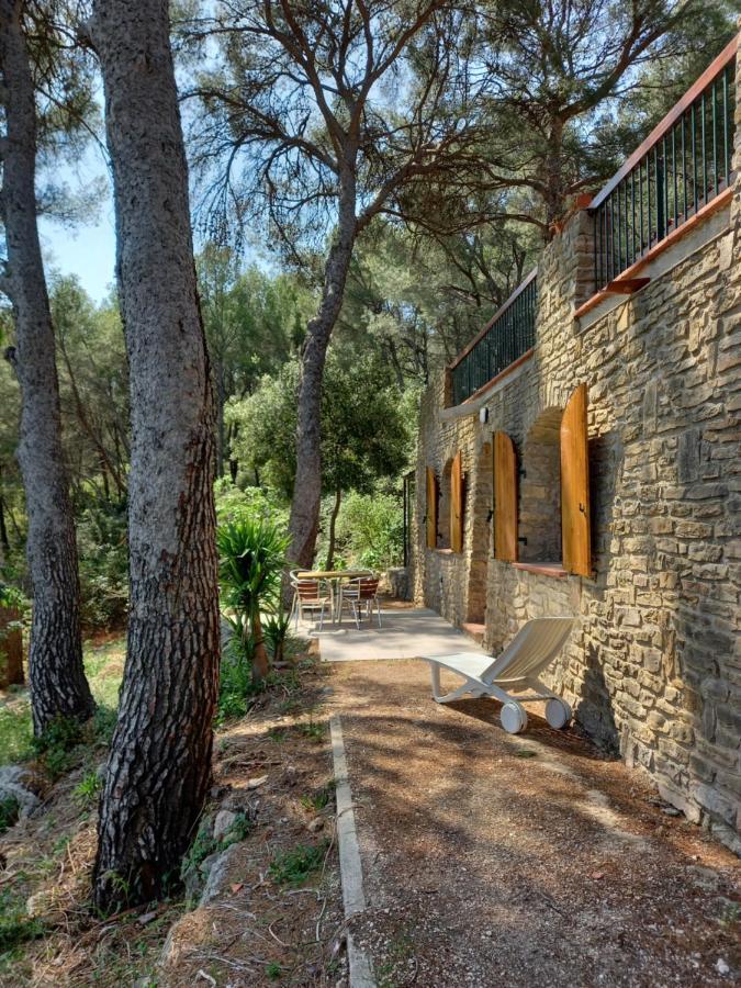 Les Pins Apartamento Le Castellet  Exterior foto